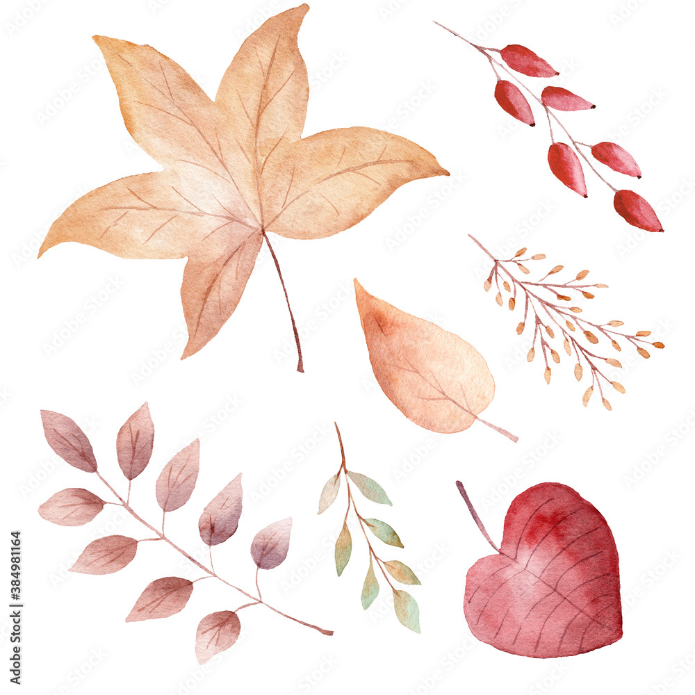 Watercolor orange fall leaves. Hand drawn design elements. Clipart for thanksgiving card, invitations, scrapbooking.