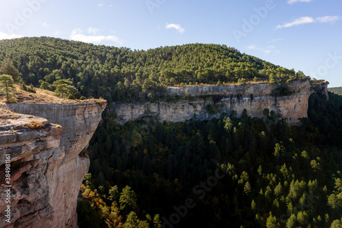 natural landscape of pine trees and rocks