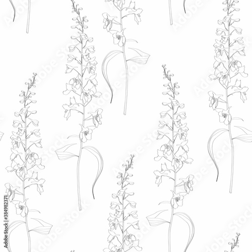 Summertime Delphinium seamless pattern. Flowers and plants of fields. Vintage botanical illustration. Black and white.