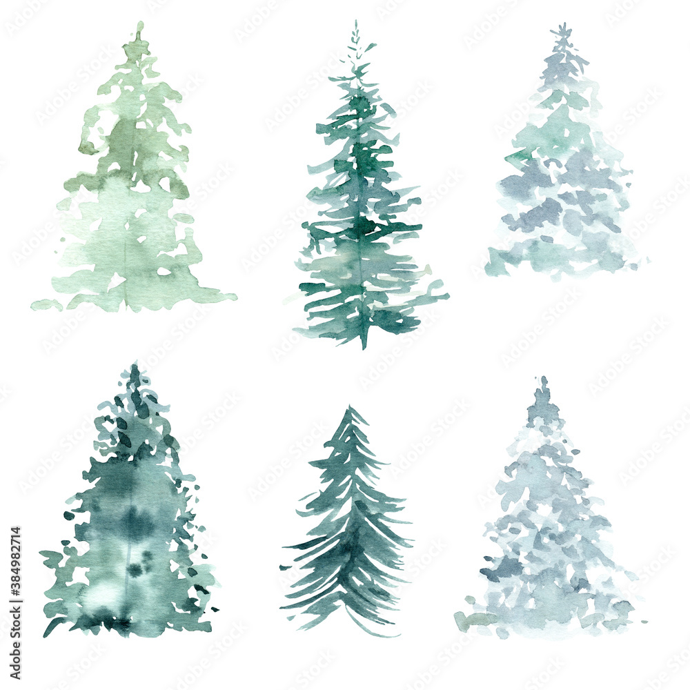 Watercolor pine trees clipart. Hand painted illustration for winter and christmas graphics, invitations, cards.