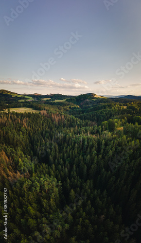 Tal umgeben von Wald und Hügeln