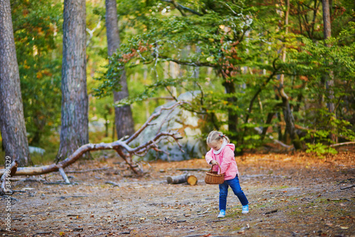 Adorable toddler girl with basket picking mushrooms in autumn forest © Ekaterina Pokrovsky