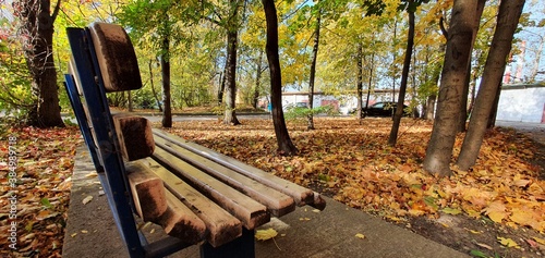 bench in autumn park