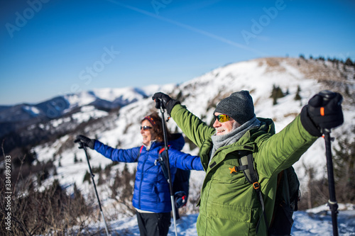 Senior couple hikers with nordic walking poles in snow-covered winter nature, stretching arms.