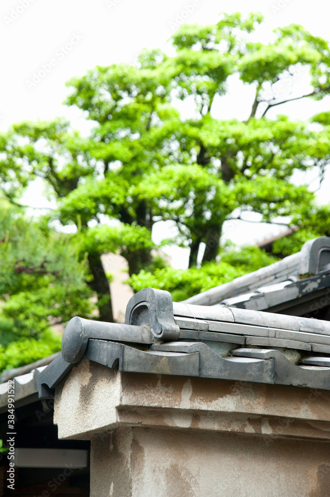 Obraz premium 日本家屋の屋根