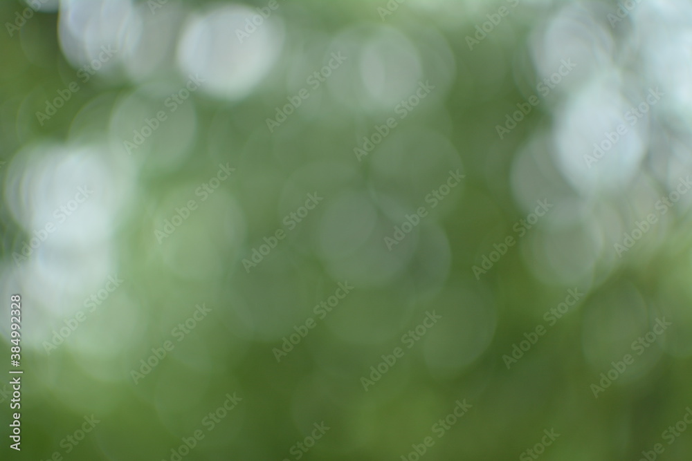 green bokeh background green bokeh background