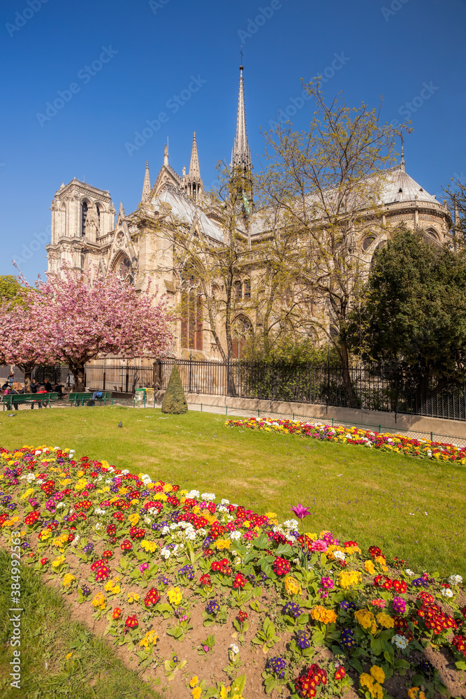 Paris, Notre Dame cathedral with spring flowers in France