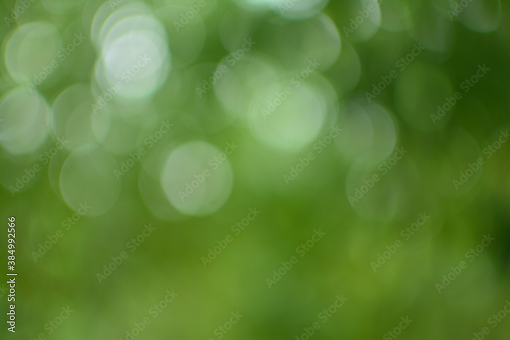 Obraz premium green bokeh background