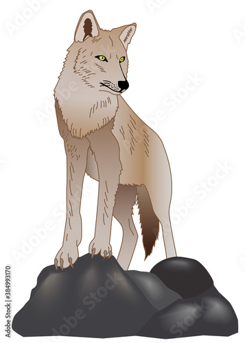 lobo ibérico