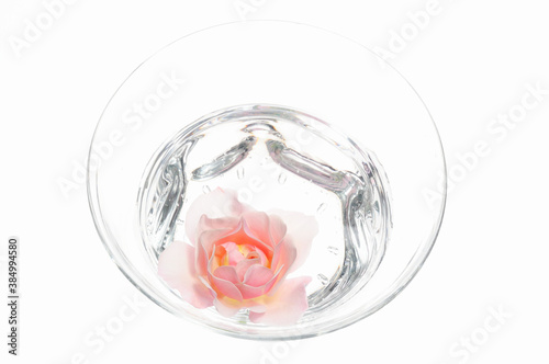 水鉢に入れたピンク色のバラの花