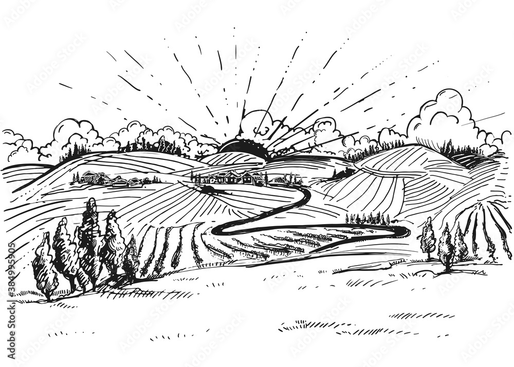 Naklejka premium Detailed hand drawn ink black and white illustration of grapevine, vineyard field. sketch. Vector. Elements in graphic style label, card, sticker, menu, package.