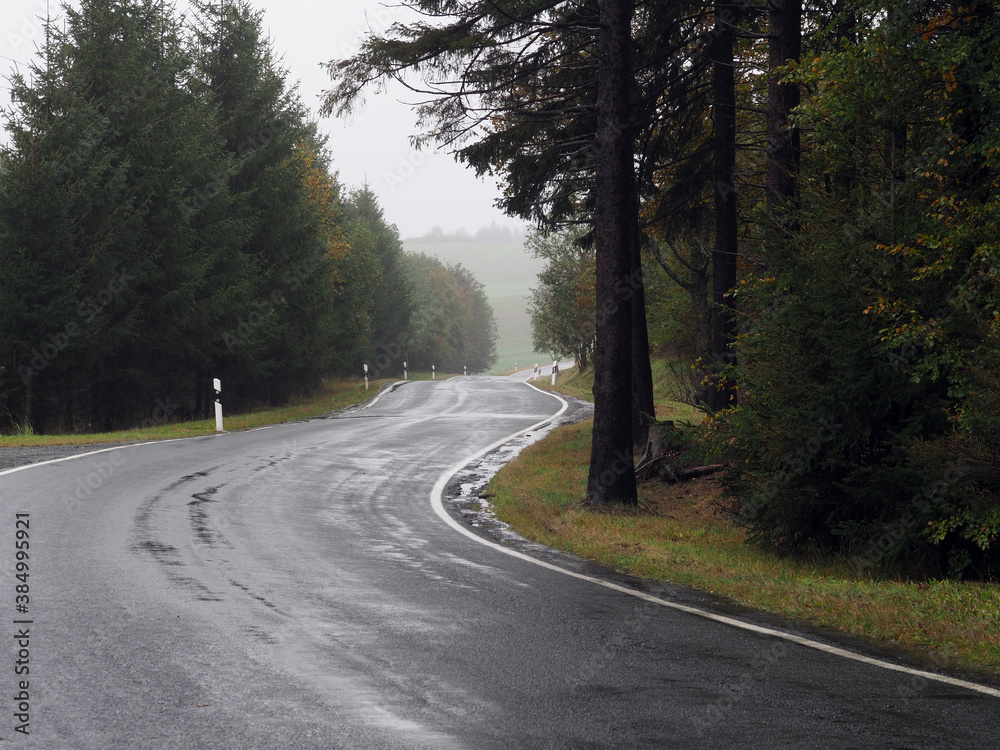 Fototapeta premium Nasse kurvenreiche Landstraße