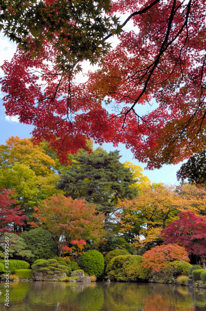 もみじ公園