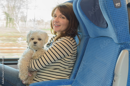 Dog traveling by train with his owner