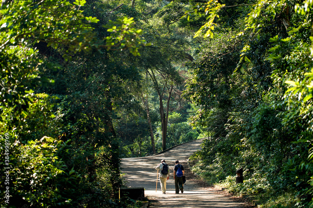 walk in the woods walk in the woods