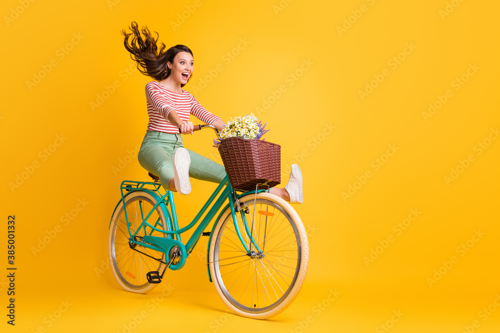 Full length body size photo of funny girl shouting riding bicycle keeping legs up isolated on vivid yellow color background - obrazy, fototapety, plakaty 
