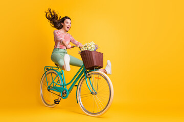 Full length body size photo of funny girl shouting riding bicycle keeping legs up isolated on vivid yellow color background