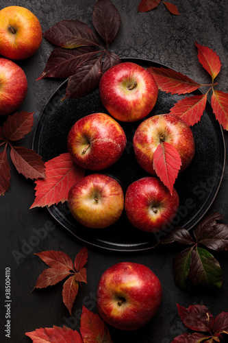 Autumn Apple harvest. Red apples in the autumn scene. Apples are close up