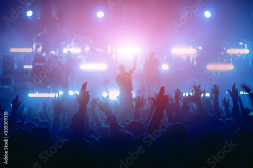 cheering crowd at a rock concert.