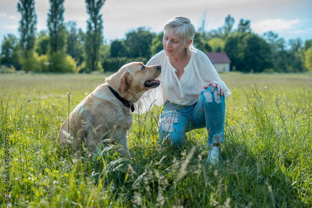 happy senior woman play with labrador retriever dog in sunny summer park happy senior woman play with labrador retriever dog in sunny summer park