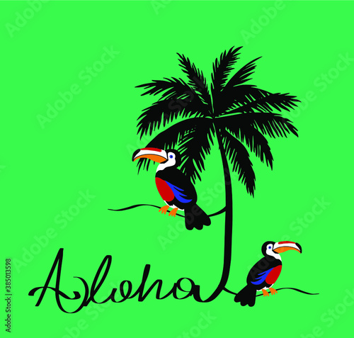 Abstract Hand Drawing Toucan Birds and Palm Tree with Hand Writing Aloha Text Vector Design Isolated Background 