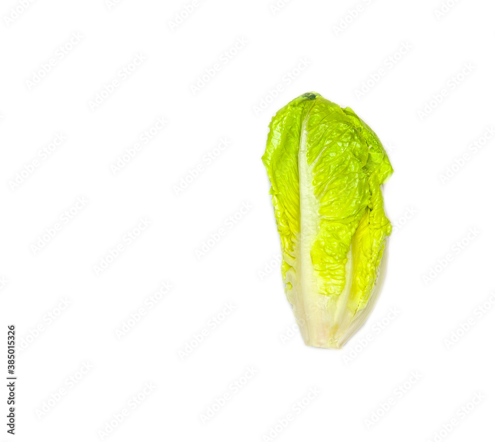 Fototapeta premium Creative layout of Romaine Lettuce (Lactuca sativa L. var. longifolia) isolated on white background. Healthy Food concept for weight loss. Flat lay. copy space