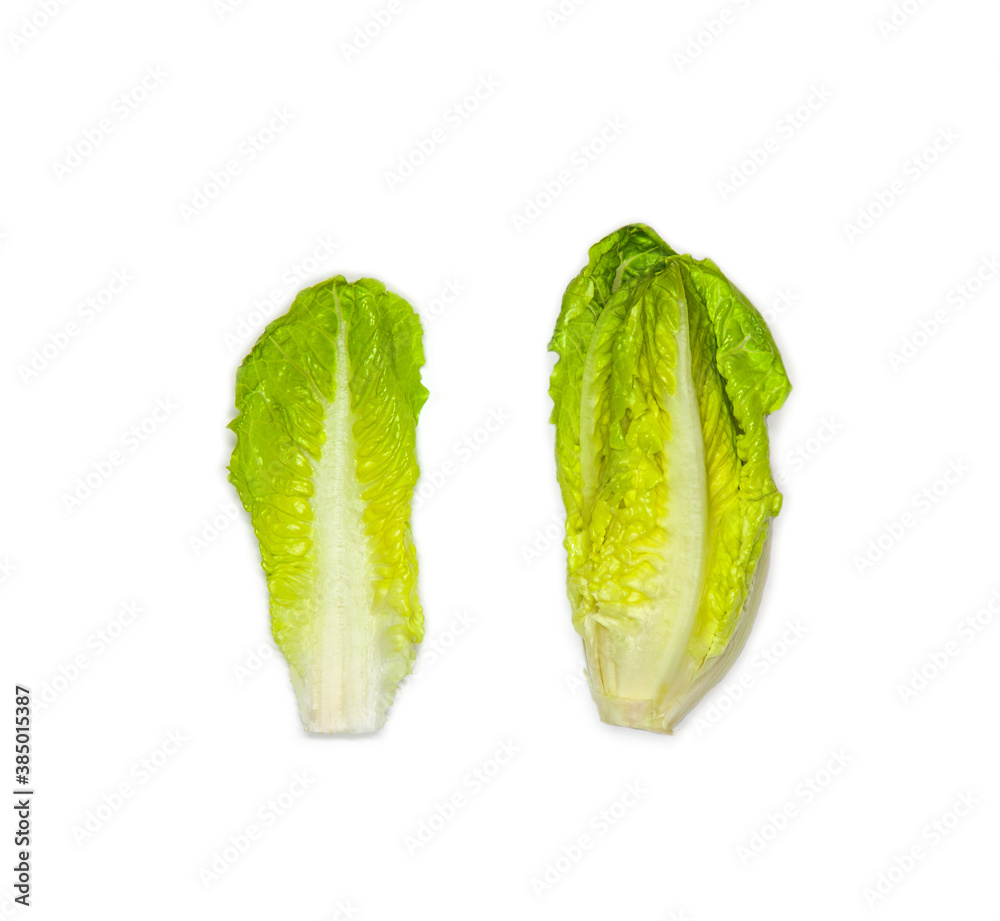 Creative layout of Romaine Lettuce (Lactuca sativa L. var. longifolia) isolated on white background. Healthy Food concept for weight loss. Flat lay. copy space Creative layout of Romaine Lettuce (Lactuca sativa L. var. longifolia) isolated on white background. Healthy Food concept for weight loss. Flat lay. copy space