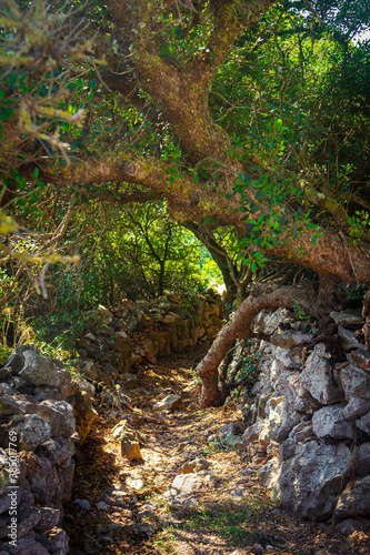 Wanderweg wie ein natürlicher Tunnel auf der griechischen Insel Kytrhira