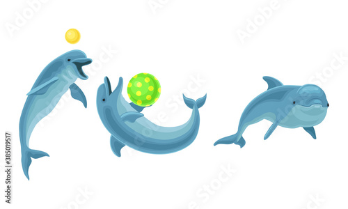 Blue Dolphin as Aquatic Mammal with Streamlined Body and Flippers Vector Set