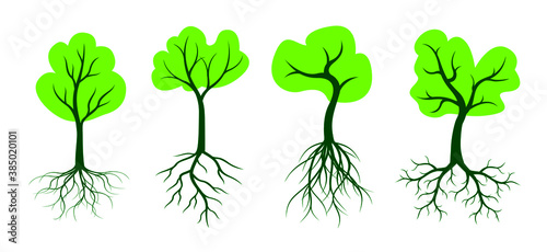 Set Tree Icons with green Leaves and Roots. Vector outline Illustration. Plant in Garden.