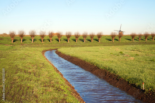 Pollard willows on a dike; at the foot of the dike a newly dug trench. On the horizon a traditional windmill. photo