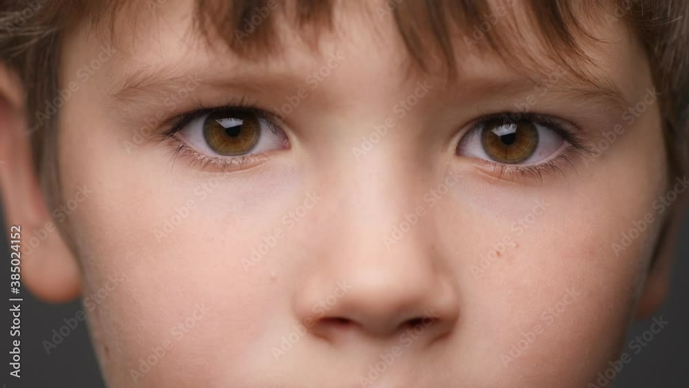 Highly Detailed Portrait of Caucasian Boy. Beautiful Child Looking at the Camera. Close-Up Boy's Brown Eyes. Kid's Focused Look. Children's Emotions. Natural Beauty. Portrait of a Little Cute Boy Face