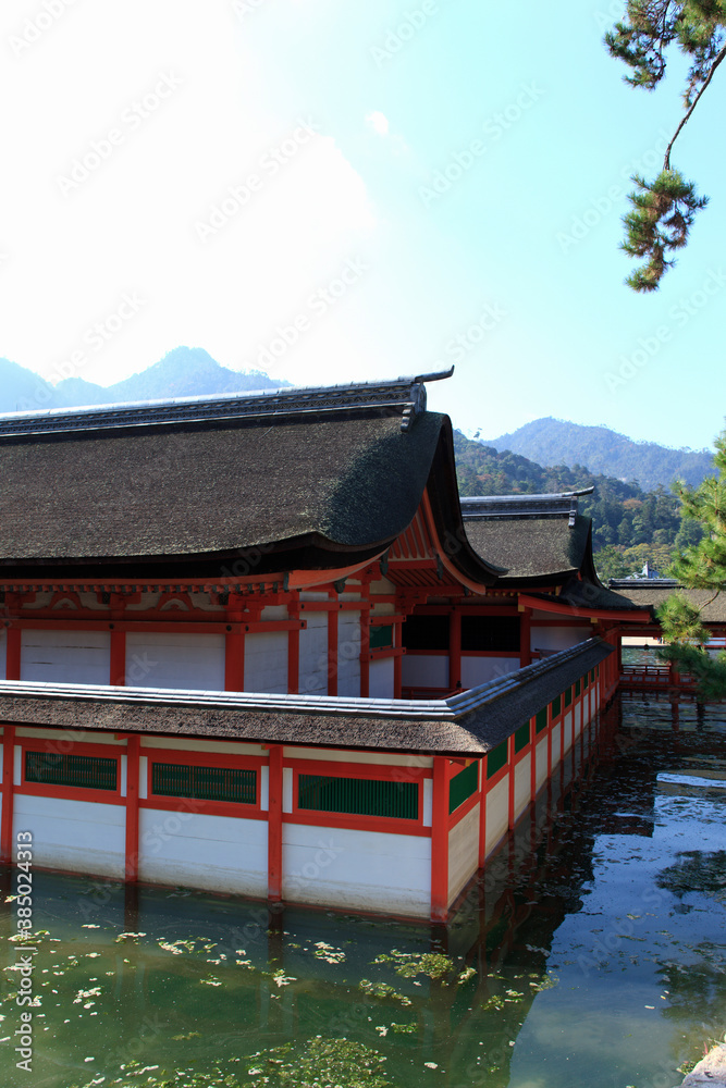 Fototapeta premium 厳島神社
