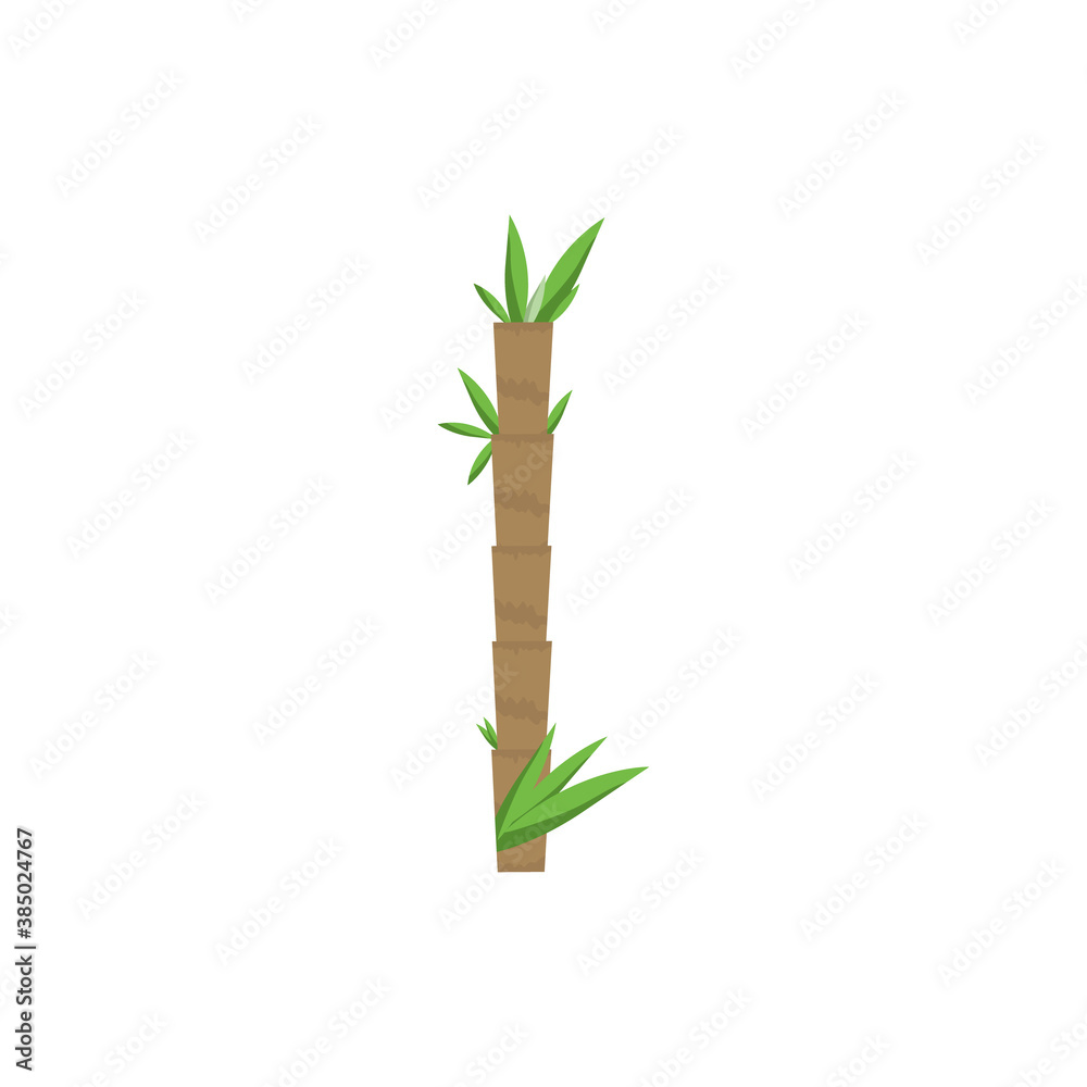Fototapeta premium Bamboo branch isolated on white background. Element for the design of poster, banner, postcards or banners, labels and infographics. Vector image