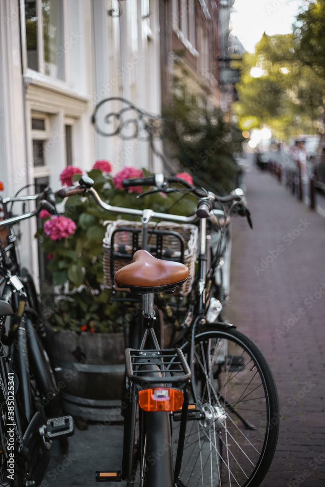 black bicycle with a brown seat and red fire on the trunk is parked on a street in Amsterdam with pink flowers behind
