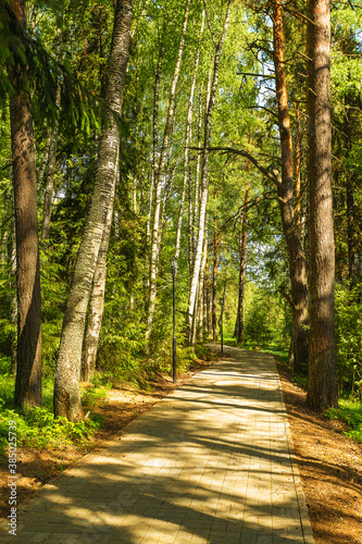 beautiful summer forest with a comfortable cobbled path and lanterns