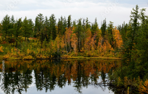 reflection of trees in lake © novikovnn
