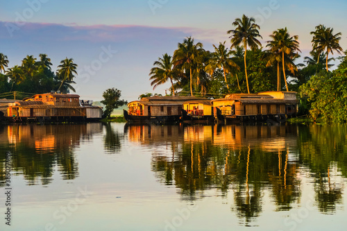 Houseboats moored at dawn after the overnight stay on the popular backwater cruise, Alappuzha (Alleppey), Kerala, India photo