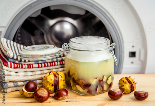 Make natural liquid laundry soap. Soaking horse chestnut, Aesculus, buckeye in water, witch containing natural saponin the cleaning matter. Jar container in front of washing machine. photo