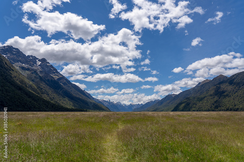 landscape with filed and mountains