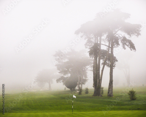 presidio golf course fog in San Francisco