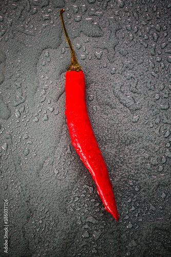 Close up of one wet chili fruit on a wet surface with droplets. Shallow depth of field, selective focus.