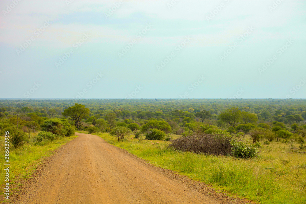 Dirt road in South African Game Reserve