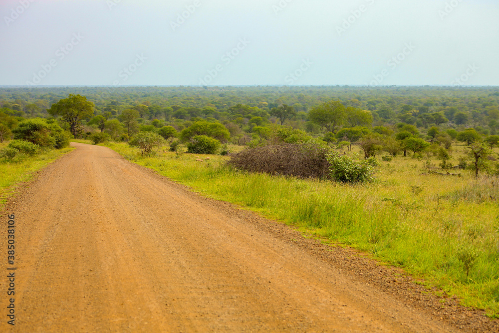 Dirt road in South African Game Reserve