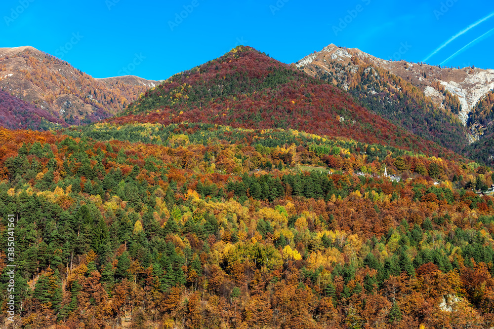 Colorful autumnal trees on the slopes of the Alps.