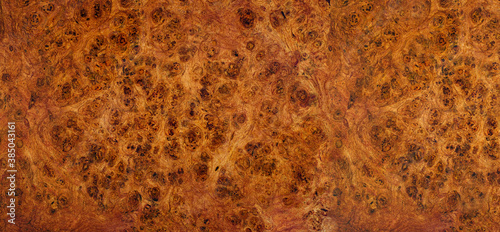 Nature Afzelia burl wood striped are wooden beautiful pattern for crafts or art background