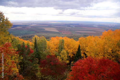 Kind in a distance from above in a natural frame of bright colorful autumn foliage of trees