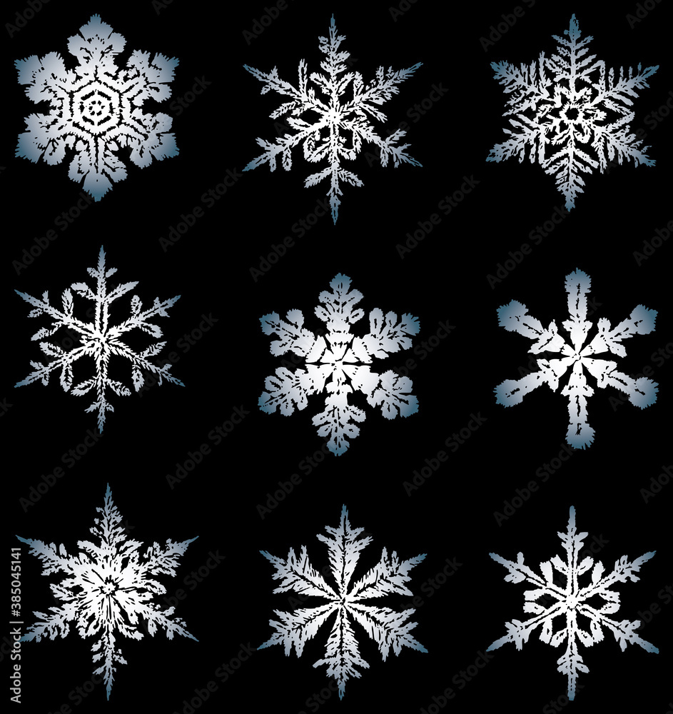 Vector image of various drawn decorative snowflakes