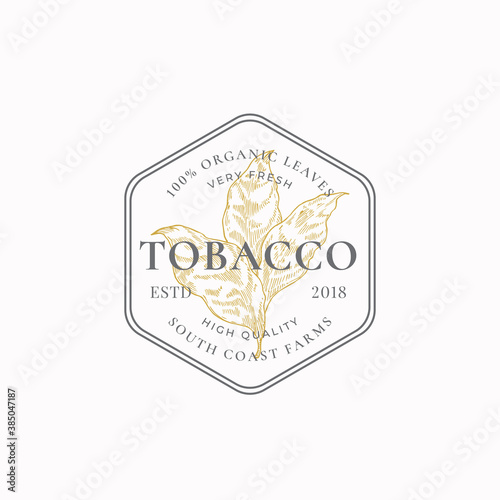 Tobacco Leaf Abstract Vector Sign, Symbol or Logo Template. Herb Branch Sillhouette in a Frame Badge with Retro Typography. Vintage Luxury Emblem.