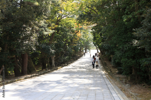 出雲大社参道